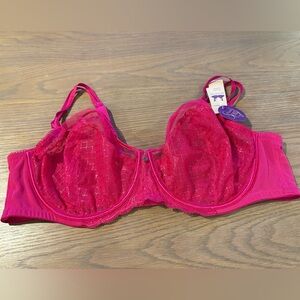 Cacique Vibrant Pink Lace Bra